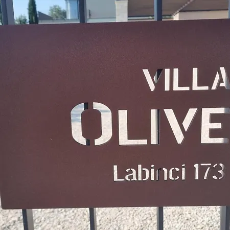 Olive - Modern Atrium With Heated Pool And Large Garden Near Porec Labinci